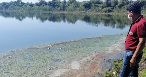 Verifican mortandad de peces en Laguna Cerro de Limpio » Ñanduti
