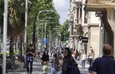 Irresponsabilidad en España - SNT