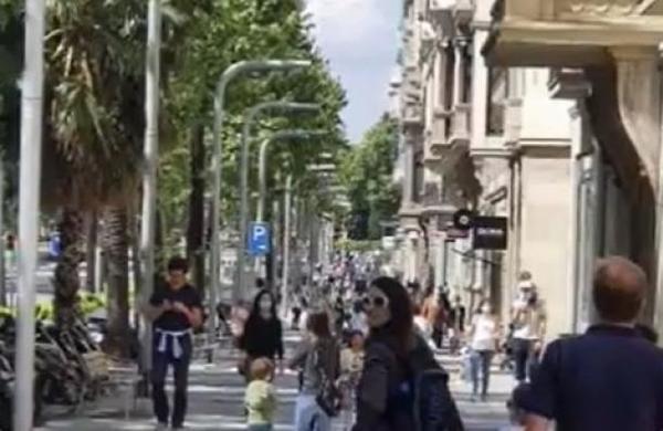 Irresponsabilidad en España - SNT