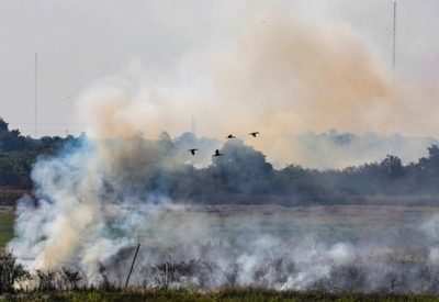 Advierten sobre peligro de nuevos incendios forestales - Paraguay Informa