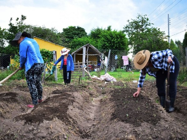 Para resistir crisis sanitaria, guaireñas cultivan en huerta
