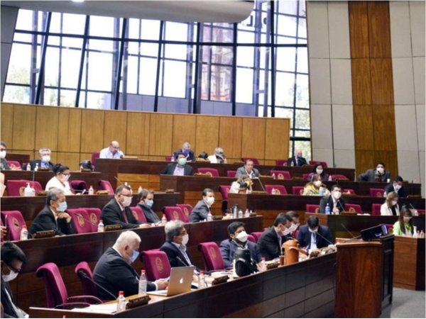 Petta es blanco de duras críticas en sesión de la Cámara de Diputados