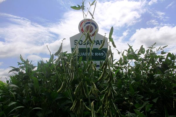 El campo también está afectado por la crisis del coronavirus, afirma FECOPROD