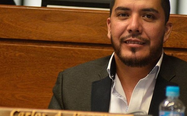 Aprueban proyecto de Carlos Portillo para acelerar activación comercial en Alto Paraná – Diario TNPRESS