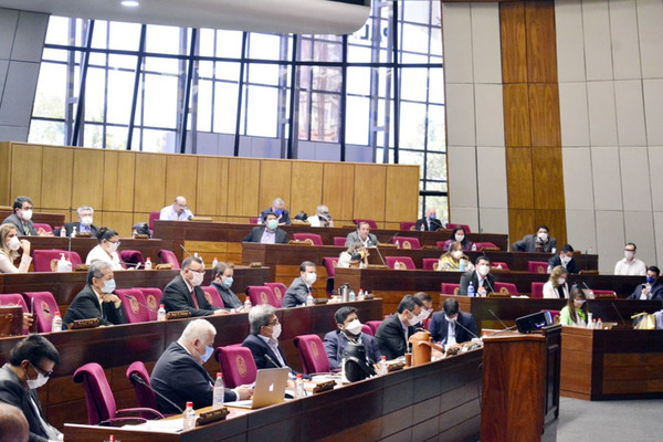 Diputados aprueban proyecto de Ley que busca desdoblar atribuciones del MEC » Ñanduti