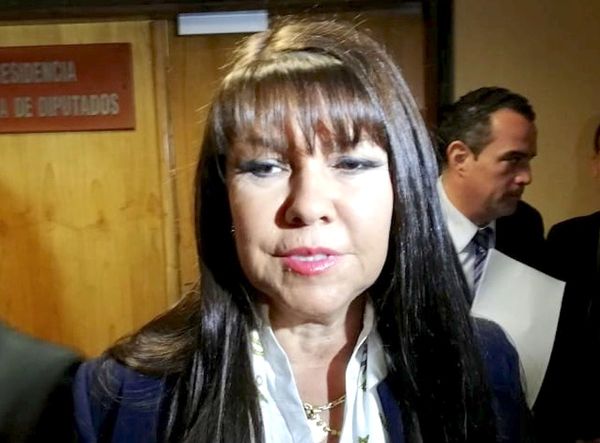 Uso indebido de influencias no es causal de juicio político, asegura diputada