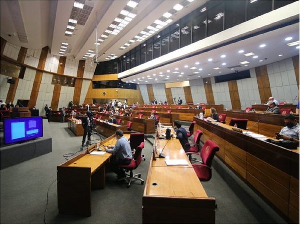 Diputados delegan tareas del MEC a otras instituciones del Estado
