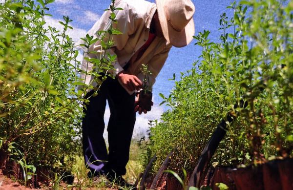 Denuncian inoperancia del CAH para entrega de créditos de auxilio
