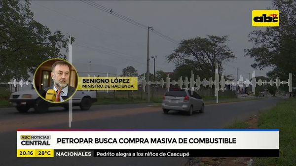 Petropar busca compra masiva de combustible - ABC Noticias - ABC Color