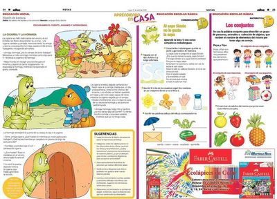 Aprendiendo en casa, valiosa herramienta educativa - Sociales - ABC Color