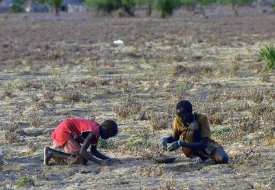 Un devastado Sudán del Sur ve esperanza en sus espacios naturales - Viajes - ABC Color