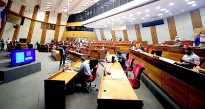 Diputados postergó por tres semanas estudio de los recortes de privilegios