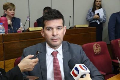 Godoy espera que Diputados no demore en evaluar proyecto que recorta privilegios
