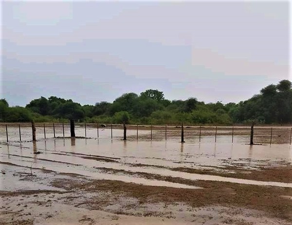 Precipitaciones caídas en el Chaco aplacan un poco la sequía