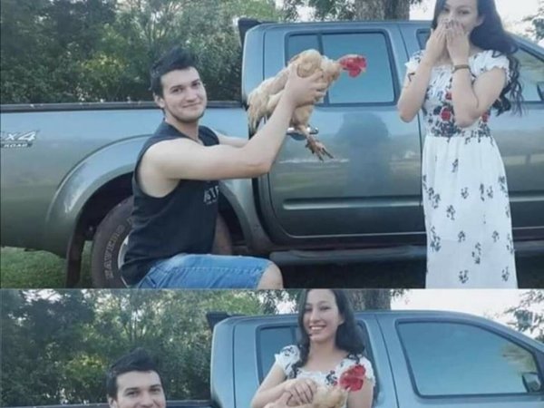 Enamorado quiso sorprender a su novia y le regaló una gallina