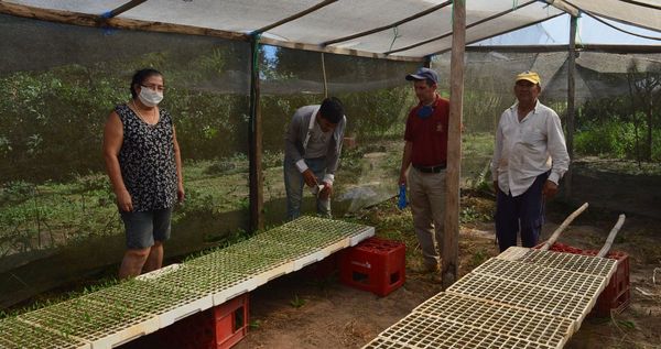 Buscan lograr subsistencia alimentaria en tiempos de pandemia