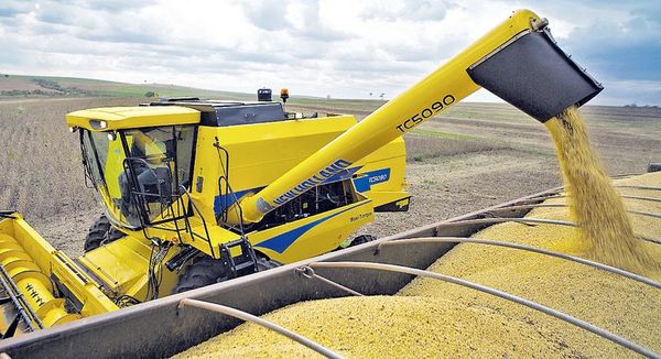 Productores agrícolas plantean flexibilización financiera - Nacionales - ABC Color