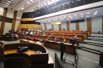 Cámara de Diputados aplaza estudio del proyecto que recorta privilegios de la función pública