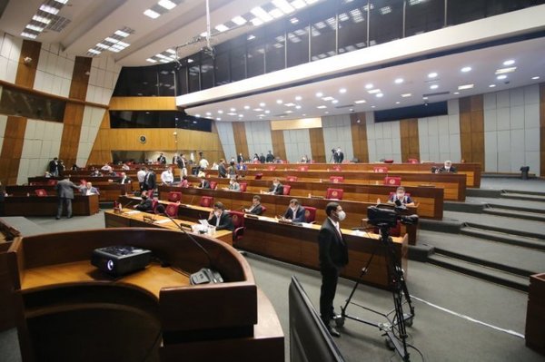 Cámara de Diputados aplaza estudio del proyecto que recorta privilegios de la función pública