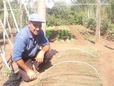 Humilde agricultor donará plantines de cebolla a familias de Misiones