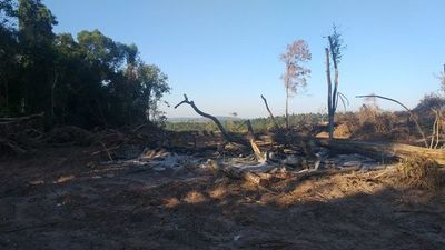 Fiscal ambiental pide allanamiento para verificar desmonte - Nacionales - ABC Color