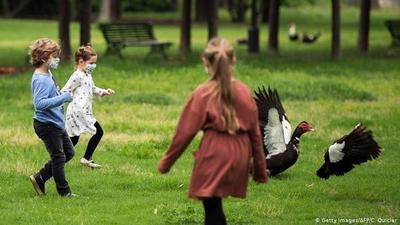 Alertan sobre extraño síndrome inflamatorio en niños, temen vinculación al coronavirus o a nuevo agente biológico patógeno - ADN Paraguayo