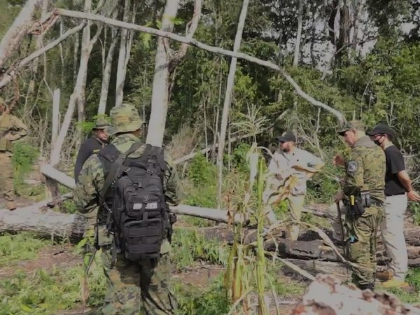 Ministro de Mades verifica cultivos de marihuana en Parque San Luis