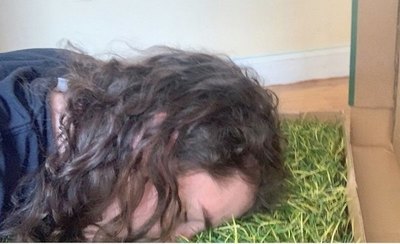 Le mandaron un pedazo de pasto | Crónica