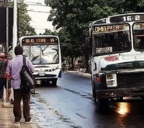 No garantiza servicio fluido de buses durante cuarentena inteligente - Paraguay.com