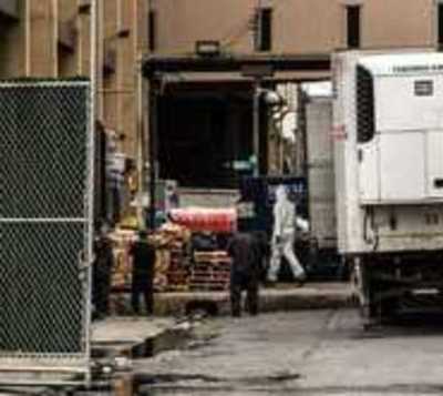 Nueva York: Hallan 50 cadáveres en camiones de mudanzas  - Paraguay.com