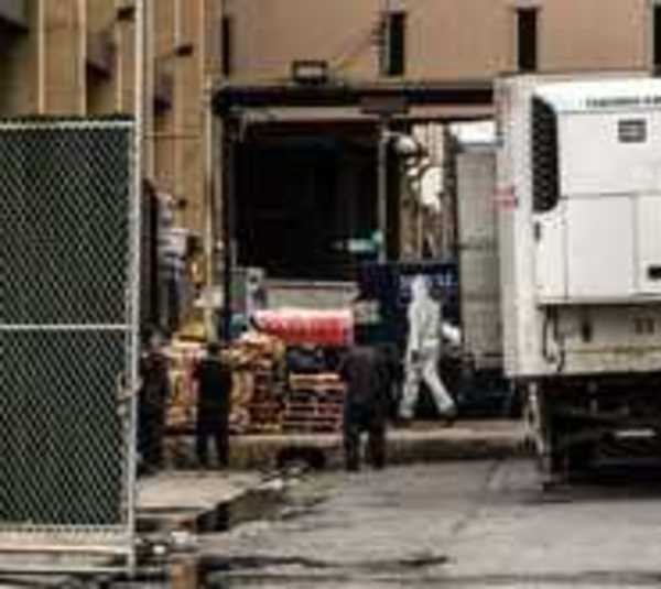 Nueva York: Hallan 50 cadáveres en camiones de mudanzas - Paraguay.com