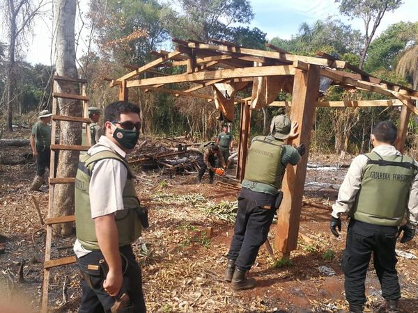 Recuperan área invadida en zona de Puerto Indio, en Alto Paraná - Nacionales - ABC Color