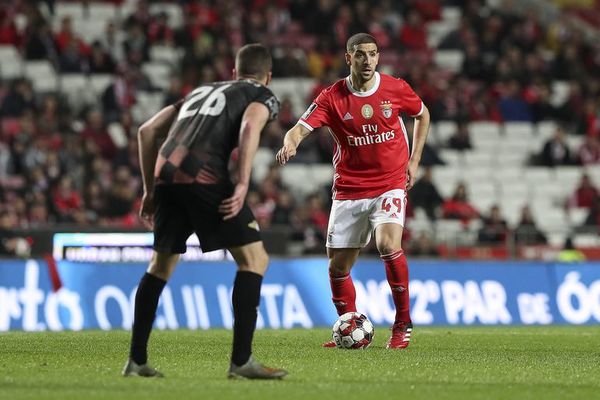 Liga portuguesa volverá el último fin de semana de mayo - Fútbol - ABC Color