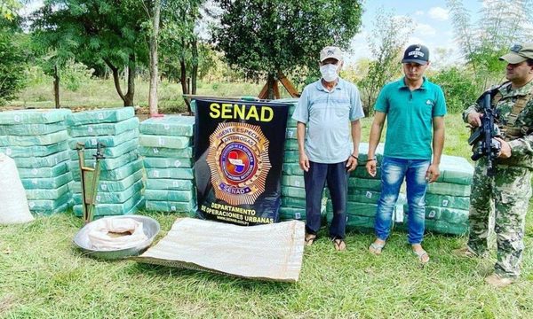 SENAD desbarata centro de producción con más de 36.000 kg de marihuana en San Pedro – Diario TNPRESS