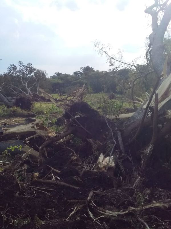 Mades constata desmonte en zona de Ybytyruzú y encontró irregularidades - Nacionales - ABC Color