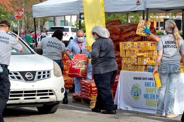En Miami-Dade reparten gratis comida para mascotas - Mascotas - ABC Color