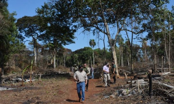 Itaipú recupera área invadida en zona de Puerto Indio