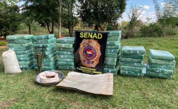Desbaratan centro de producción con más de 36.000 kg de marihuana