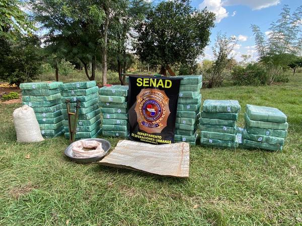 SENAD DESBARATA CENTRO DE PRODUCCIÓN CON MÁS DE 36.000 KG DE MARIHUANA EN SAN PEDRO