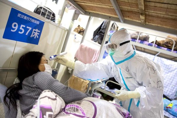 OMS quiere participar de investigaciones con China