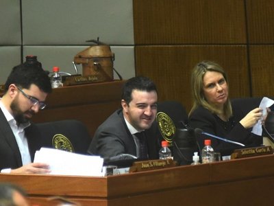 Mayor pena a perjuicio al Estado es la propuesta para proteger bienes