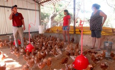 Buscan lograr subsistencia alimentaria en pandemia