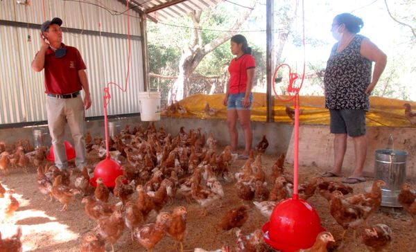 Buscan lograr subsistencia alimentaria en pandemia