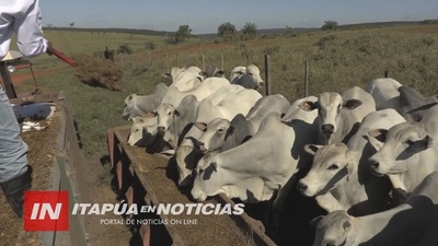 ITAPÚA CUENTA CON UNA SUPERPRODUCCIÓN DE CARNE QUE NO SE PUEDE EXPORTAR