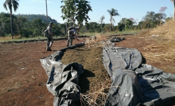 HOY / Operación Mbaracayú: Senad destruyó 131 toneladas de marihuana en Reserva Natural