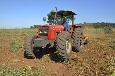 Más de 30.000 productores de huertas familiares fueron asistidos, según el Ministerio de Agricultura - Contacto Ciudadano - ABC Color