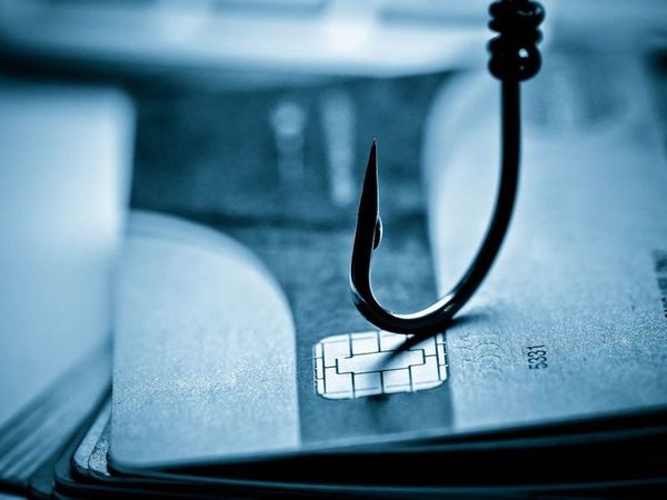 Evitar phishing ante el aumento de las videoconferencias - Nacionales - ABC Color