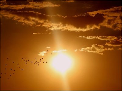 El Sol es menos activo y variable que otras estrellas similares