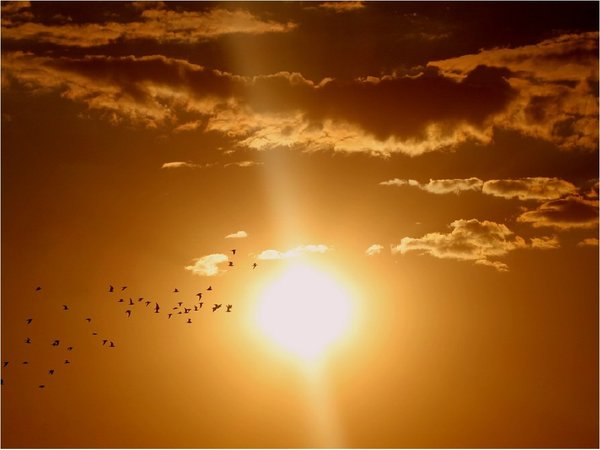 El Sol es menos activo y variable que otras estrellas similares