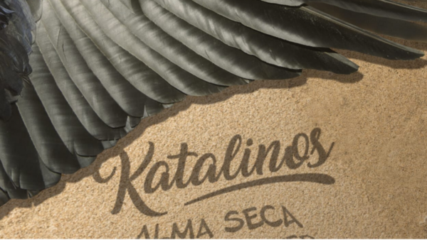Grupo de rock nacional “Katalinos” lanza colaboración con banda británica